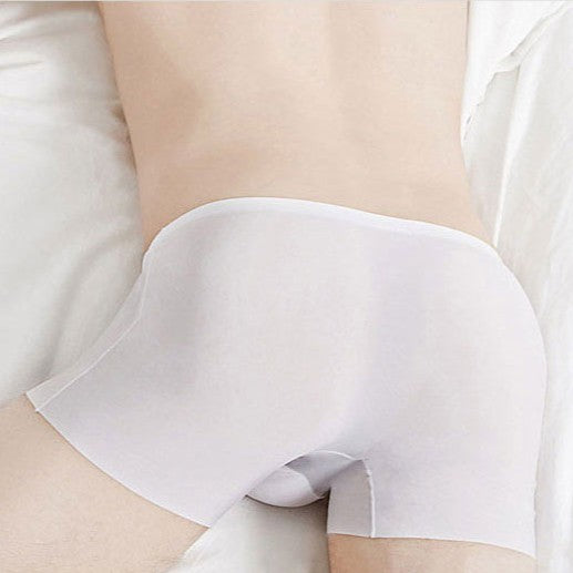 Korean Cool Men's briefs Ice Silk