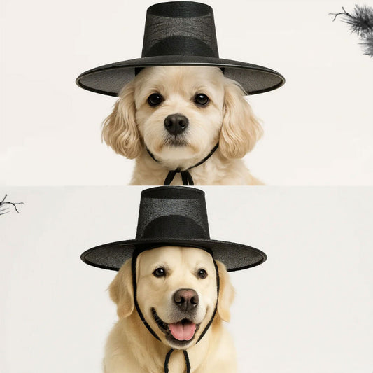 Kpop Saja Boys Hat kids. traditional Korean hat. Korean gat